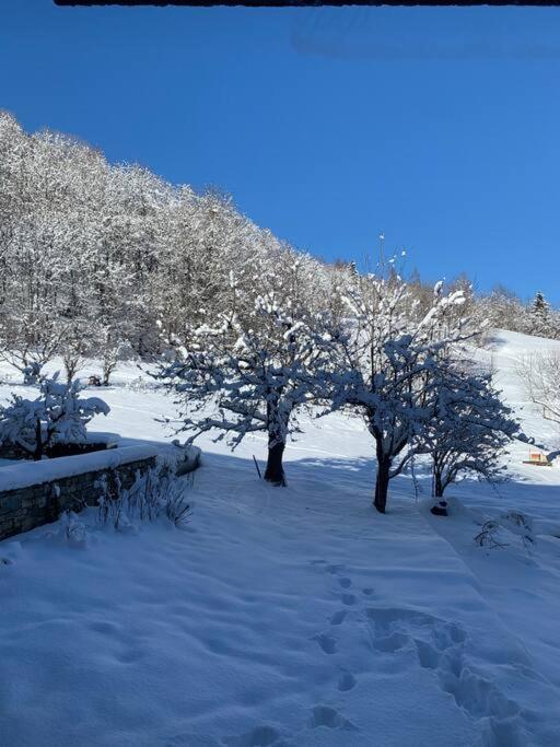 Meribel Chalet De Severine Les Allues Экстерьер фото